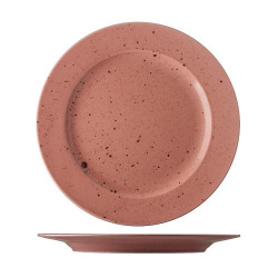 Тарелка мелкая 28СМ, серия Lifestyle, цвет Terracotta Lst2128 – купить в RuOborudovanie.ru с доставкой до двери Купить тарелка мелкая 28см, серия lifestyle, цвет terracotta lst2128 – цена от завода, доставка до двери | RuOborudovanie.ru